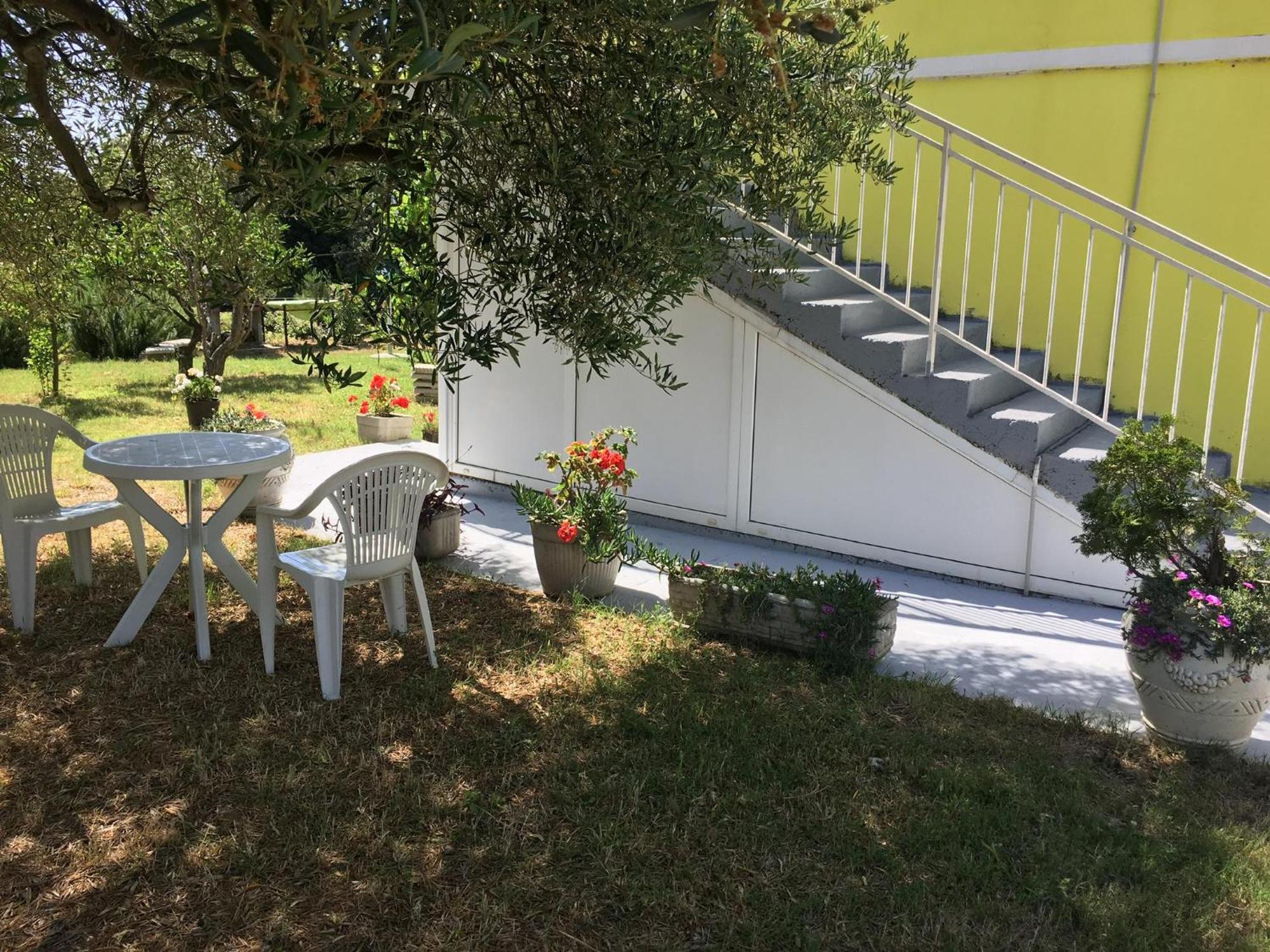 Apartments Monika Bibinje Exterior photo
